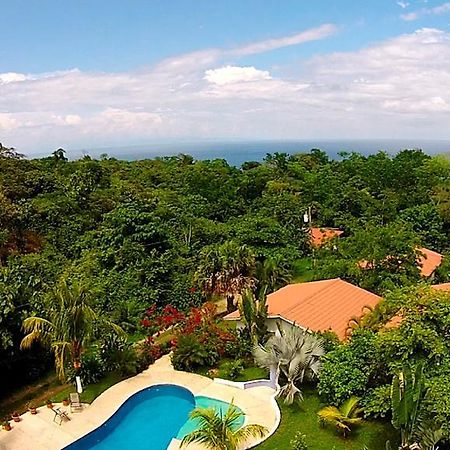 Hotel Three Monkeys モンテスマ エクステリア 写真