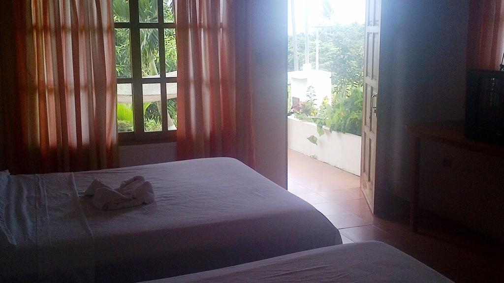 Hotel Three Monkeys モンテスマ エクステリア 写真