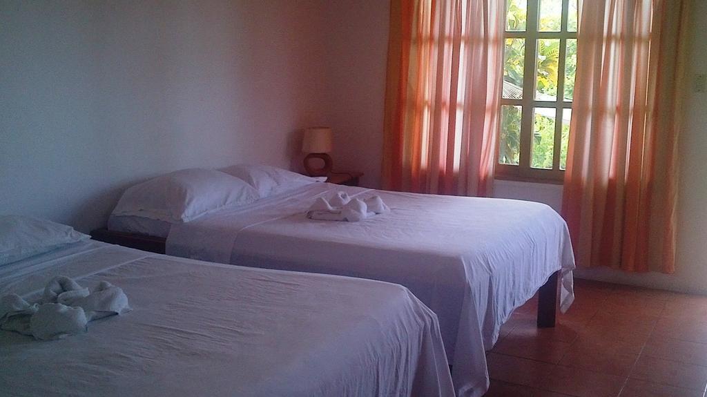 Hotel Three Monkeys モンテスマ 部屋 写真